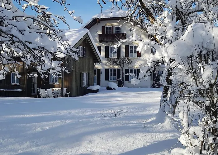 Villa Waldfrieden - Ferienwohnungen Und -Haus